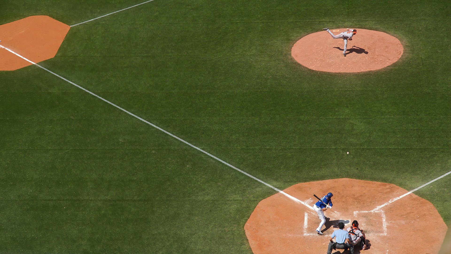 世界花式单板公益营优秀营员交流奖励名单公布,世界单板滑雪运动员排名